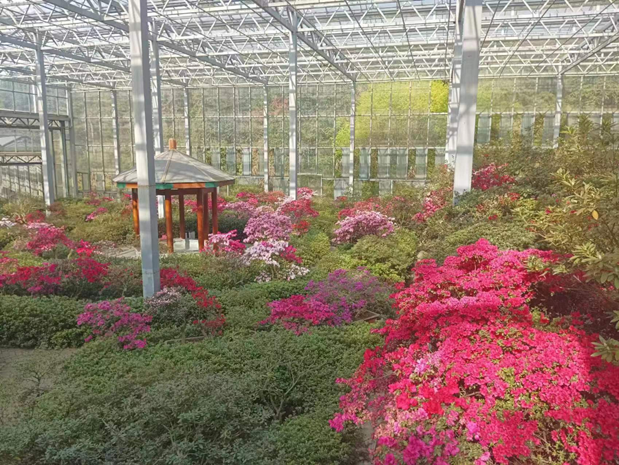 1681452763398055.png 图片1_副本.png