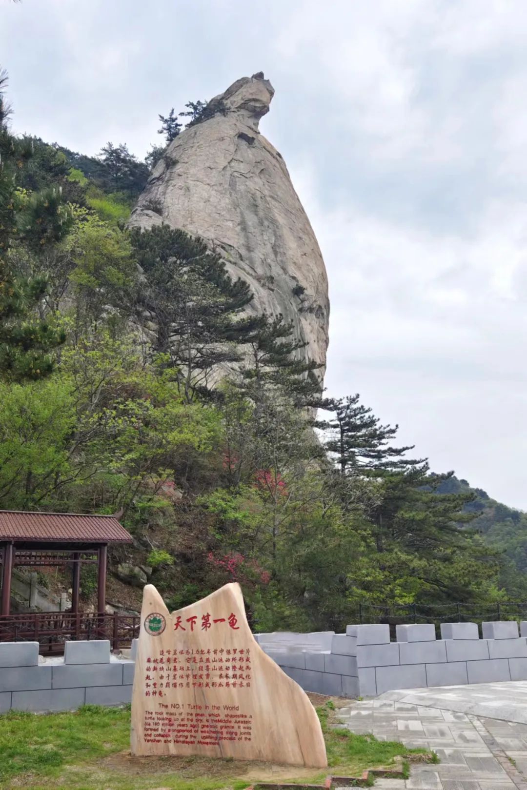 1681977176924811.jpg 3.jpg