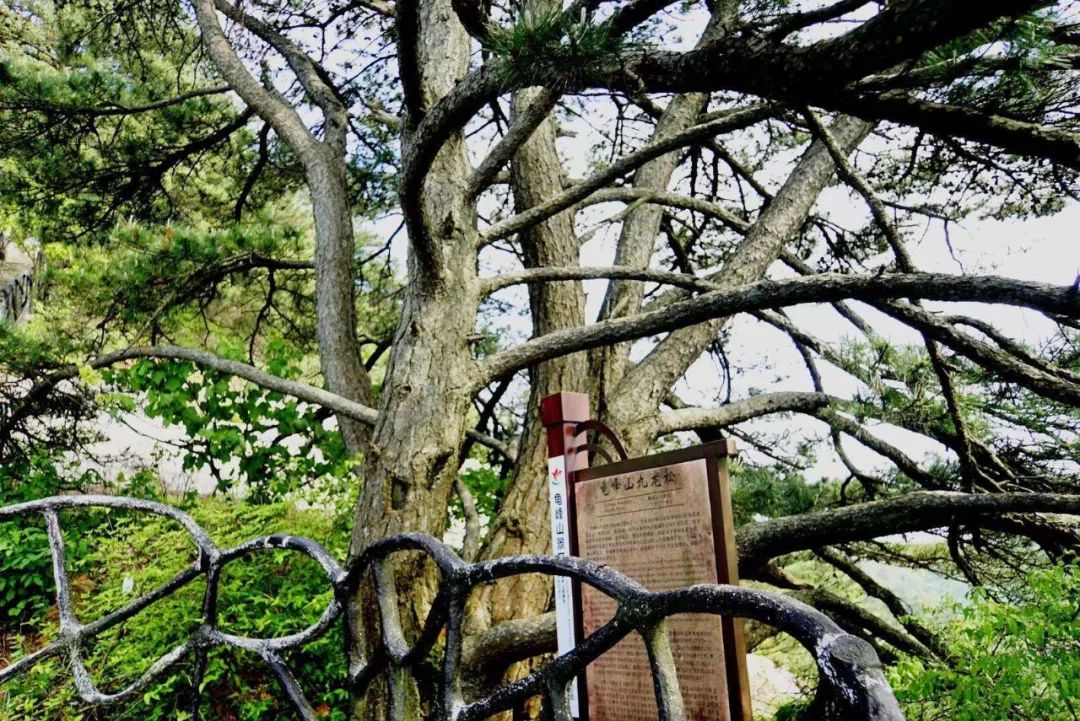 1681977195565593.jpg 6.jpg