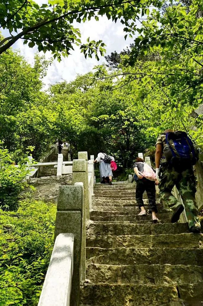 1681977201641084.jpg 7.jpg