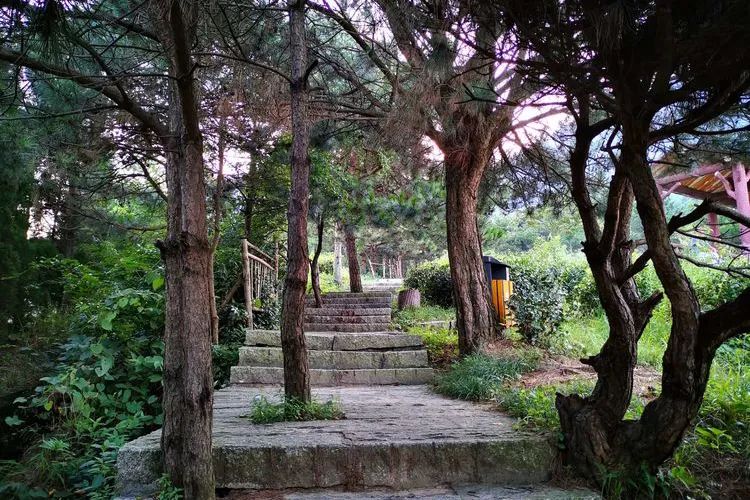 1681977207485089.jpg 8.jpg