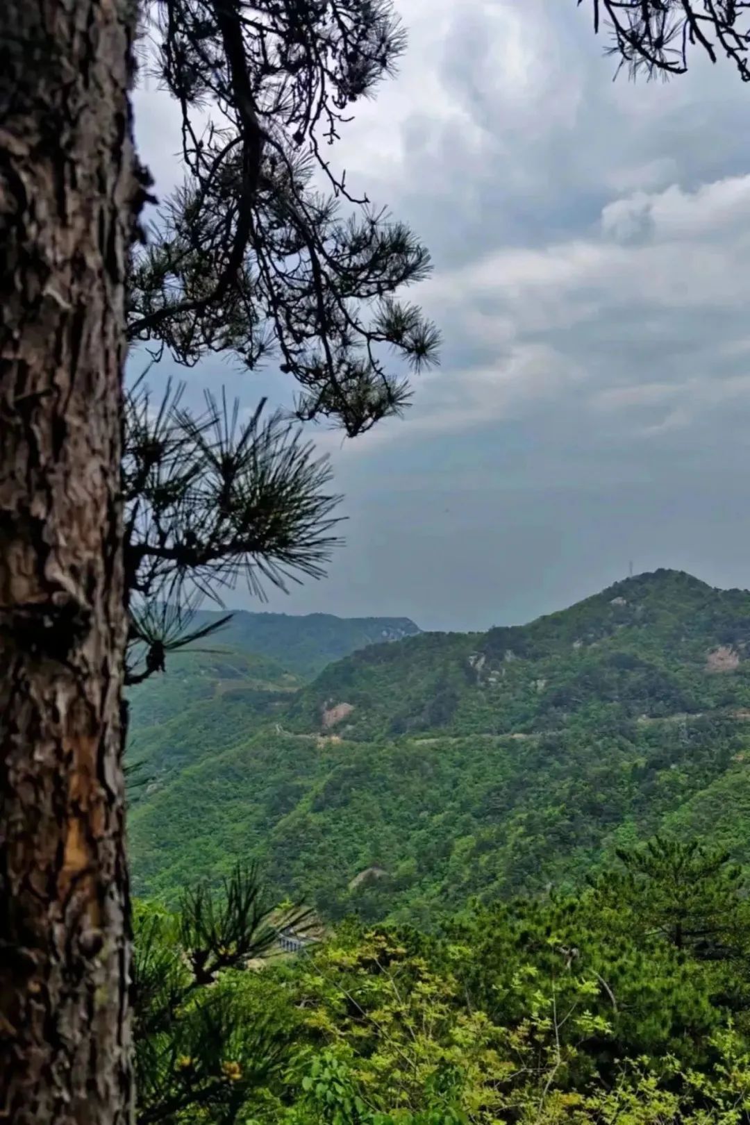 1681977272938926.jpg 10.jpg