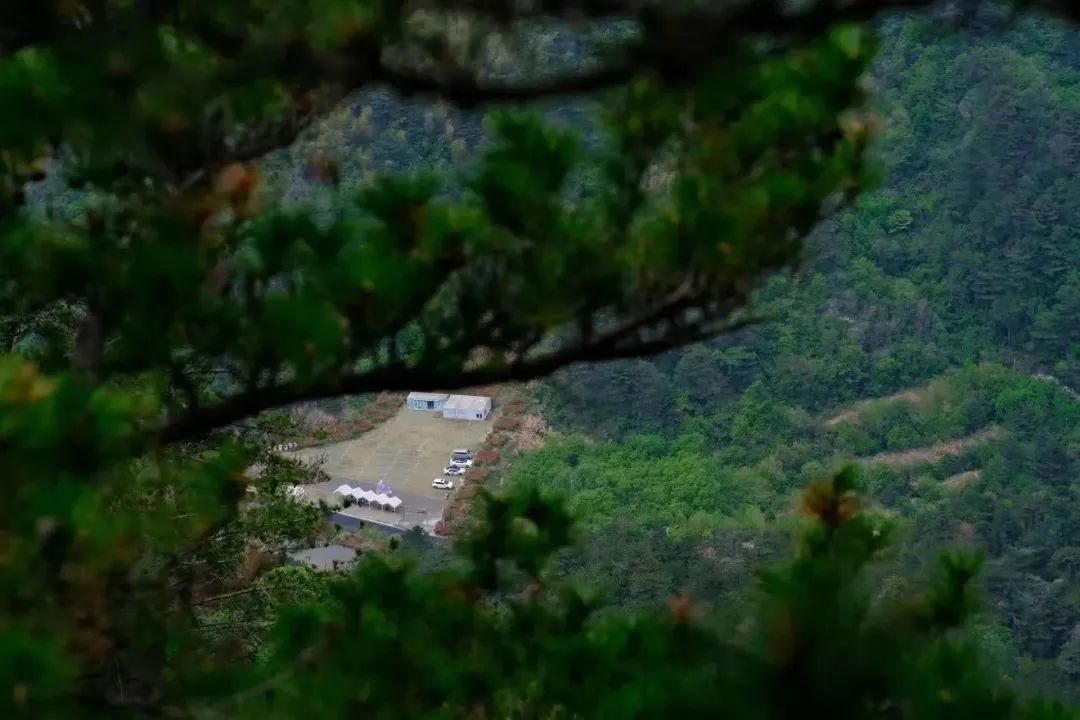 1681977277956528.jpg 11.jpg