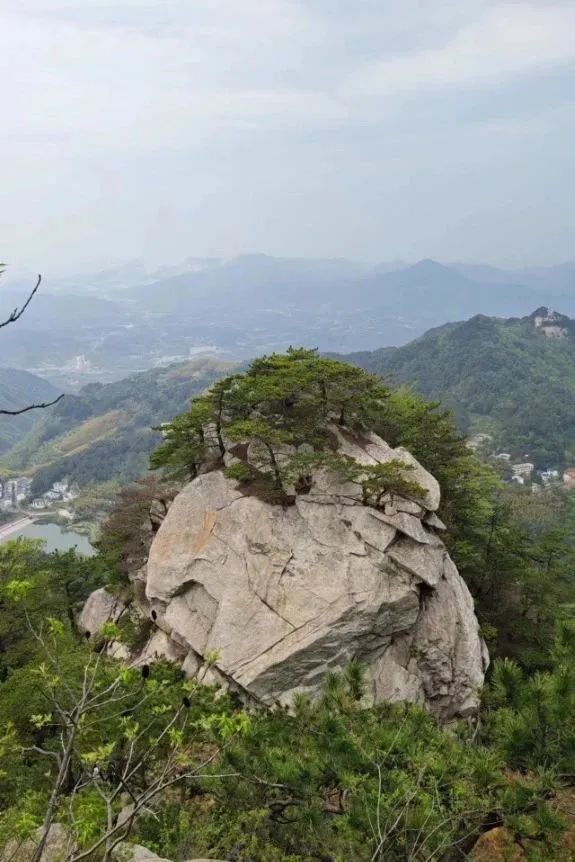 1681977284765891.jpg 12.jpg