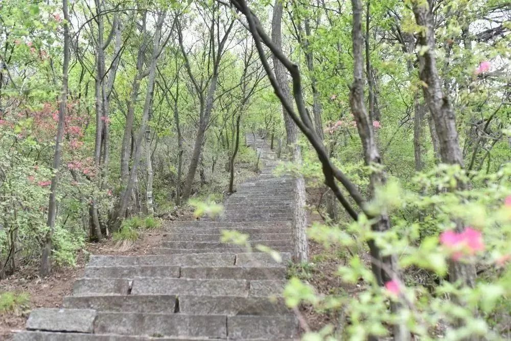 1681977291841225.jpg 13.jpg