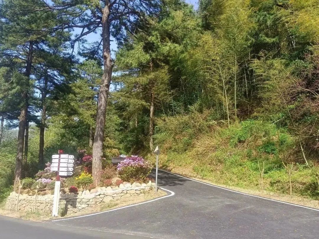 1681977298773072.jpg 14.jpg