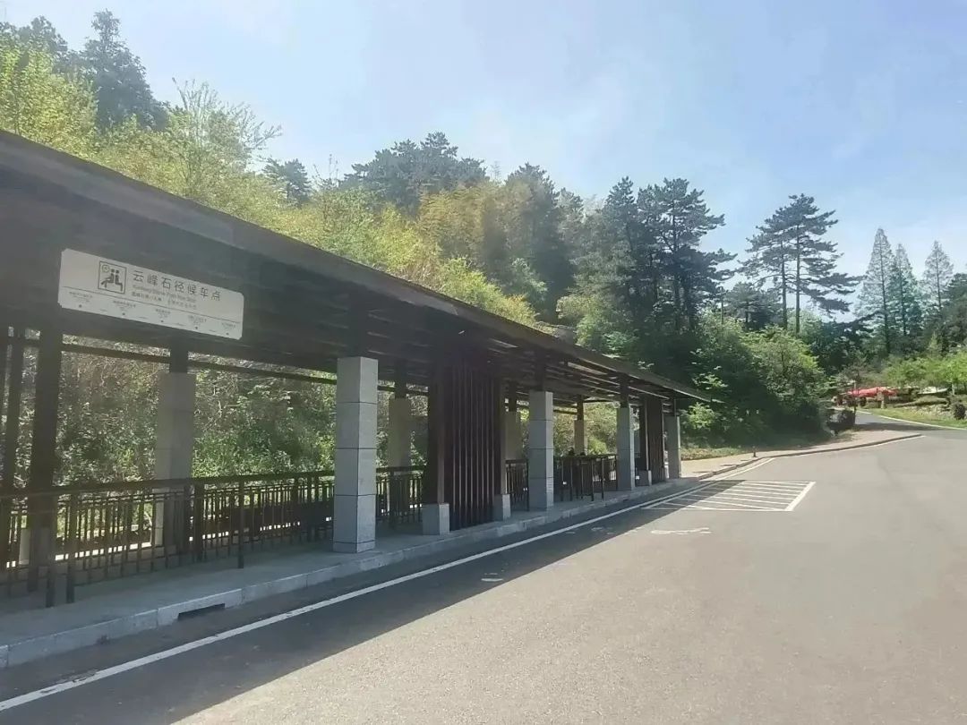 1681977306684074.jpg 15.jpg