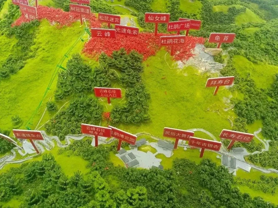 1681977342931316.jpg 18.jpg