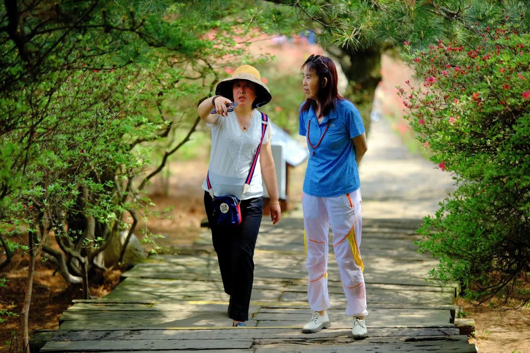 1681980023602009.jpg 640.jpg