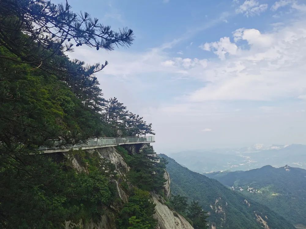 1682149396970904.jpg 640 (3).jpg