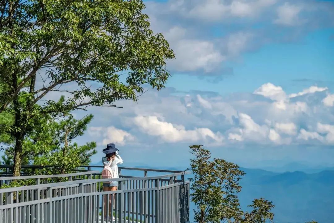 1682149410737353.jpg 640 (4).jpg