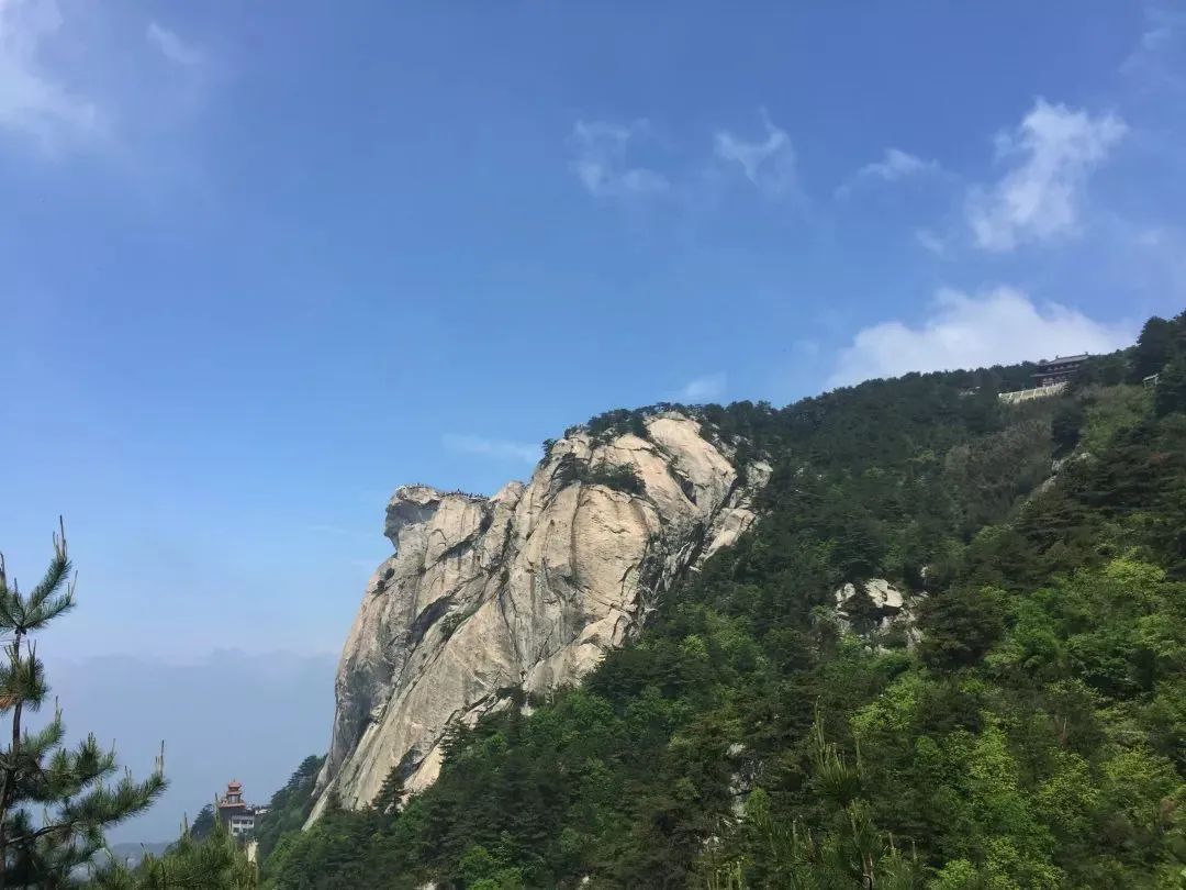 1682149487345838.jpg 640 (10).jpg