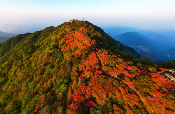 1682320299456350.png 1.png