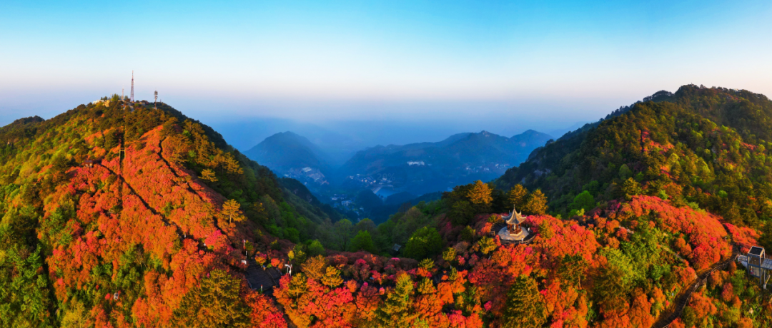 1682320304309412.png 2.png