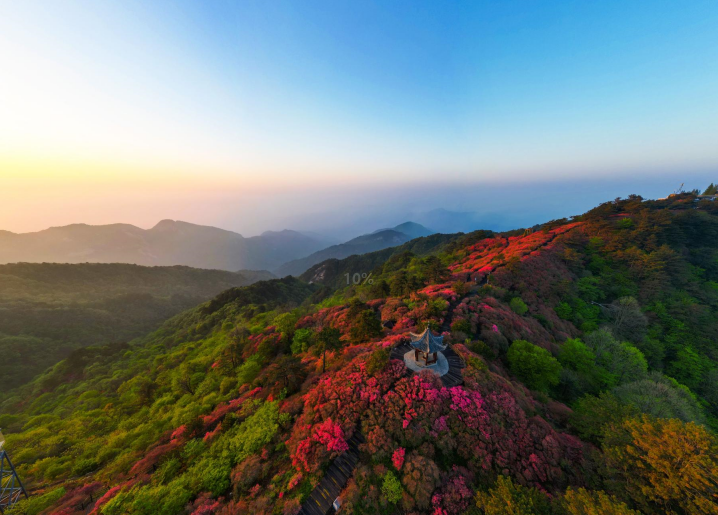 1682320310965828.png 3.png