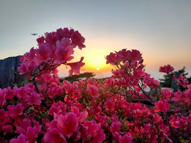 1682320321146958.png 5.png