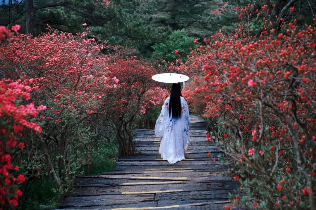 1682320327871230.jpg 6.jpg