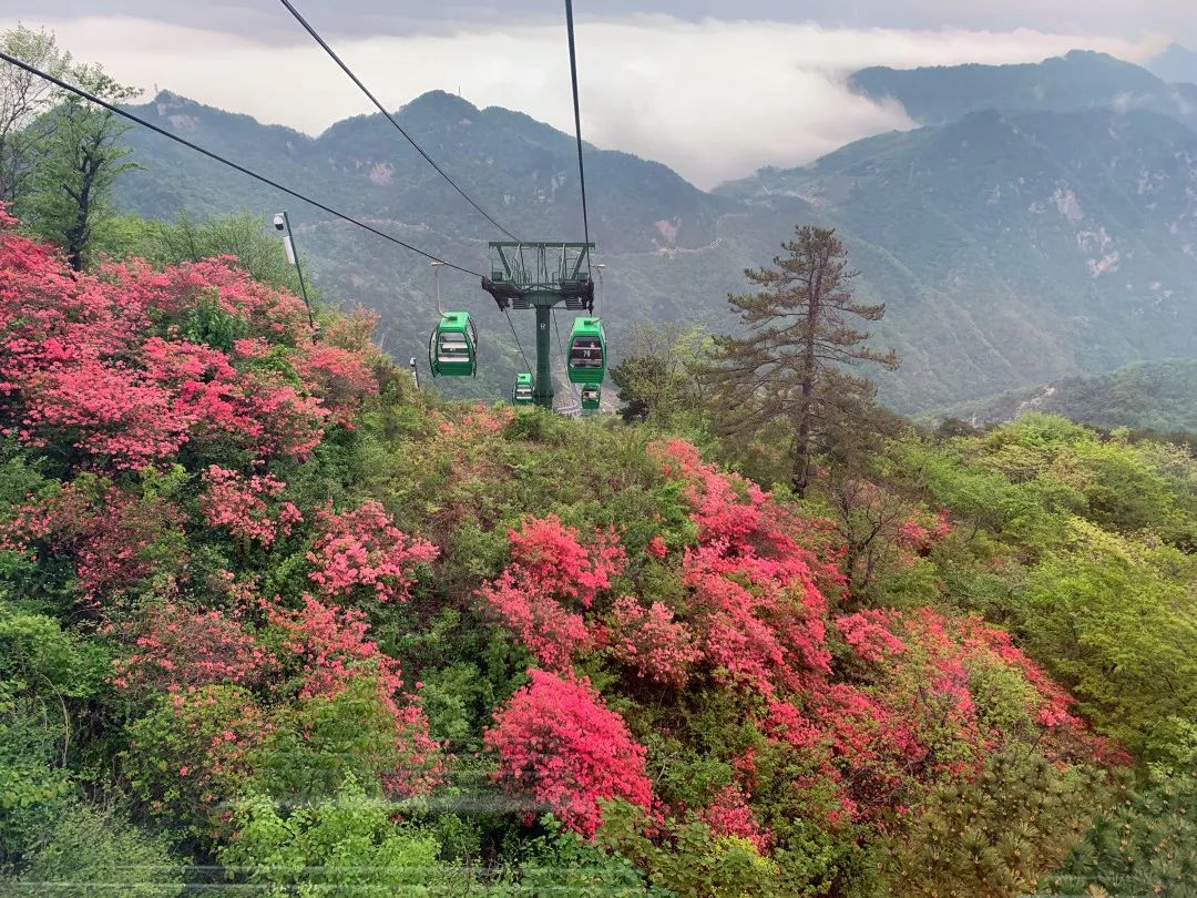 1682320908514883.jpg 2.jpg