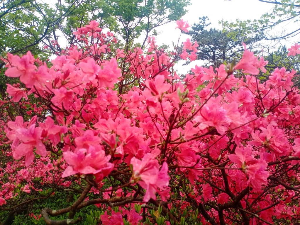 1682406987371013.png 2.png