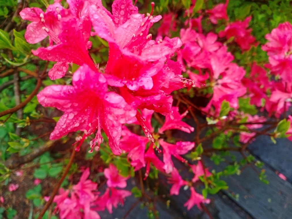 1682406992748942.png 3.png