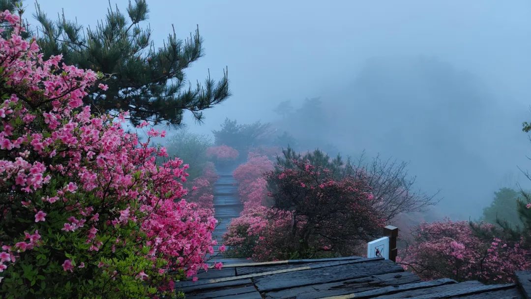 1682407016330898.jpg 7.jpg