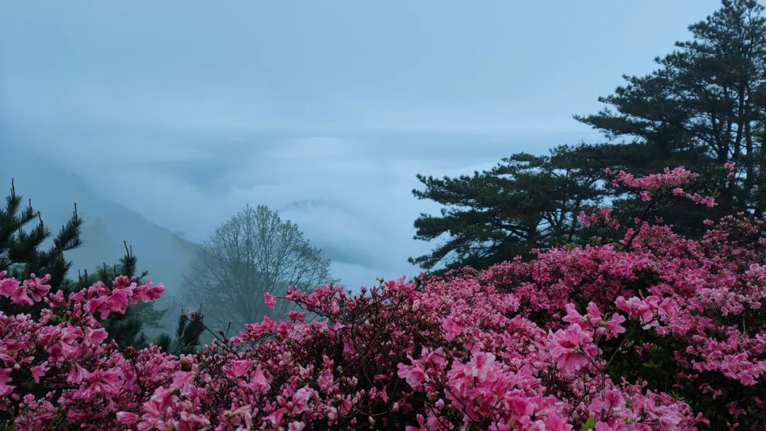 1682407021170349.jpg 8.jpg