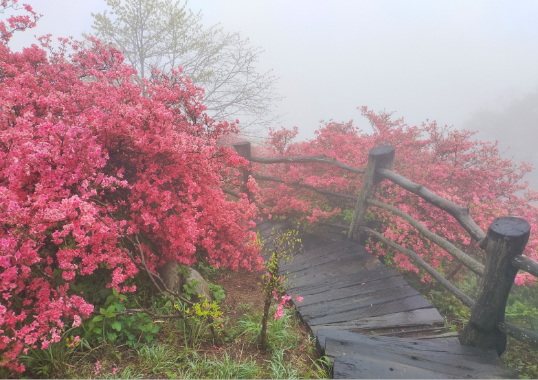 1682585124869848.png 1.png