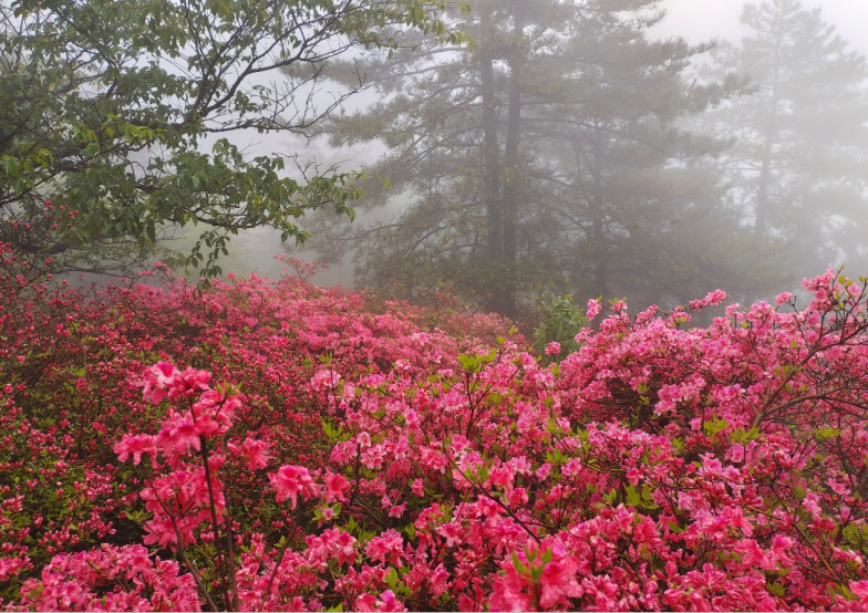 1682585132218202.png 2.png