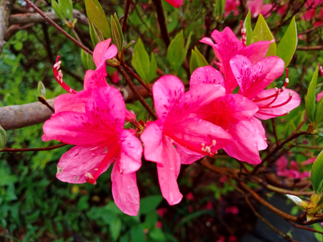 1682585147199471.png 5.png