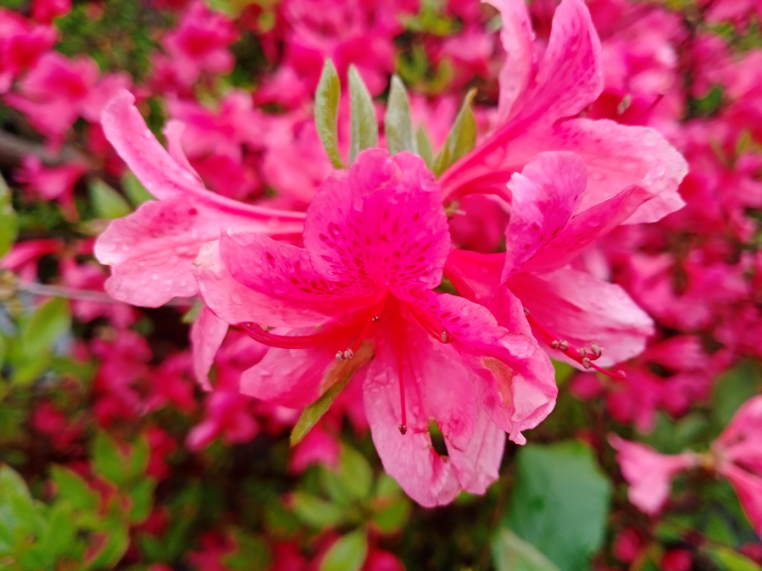 1682585152740535.png 6.png