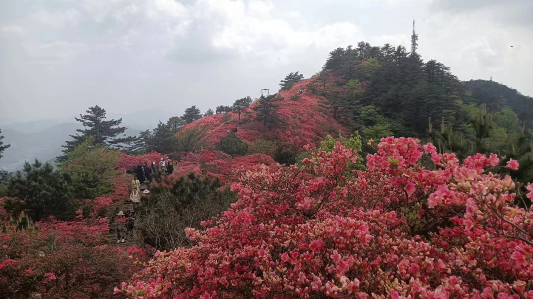 1682592226362018.png 1.png