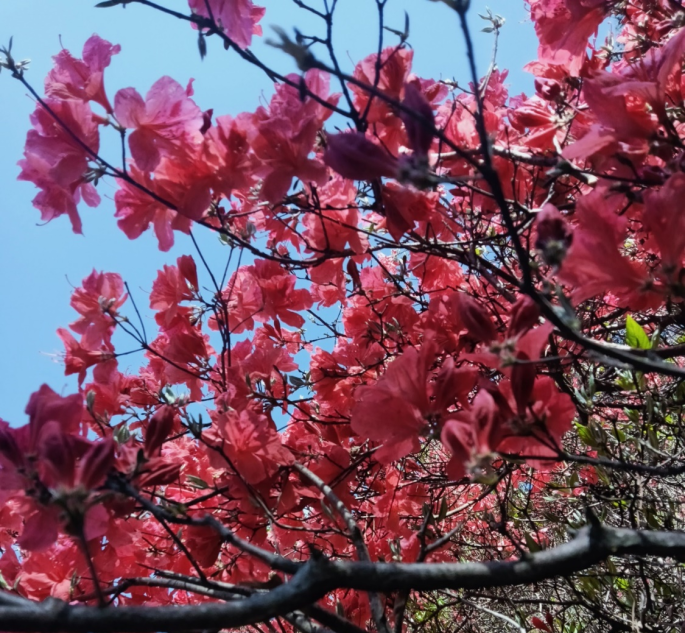 1682592246521031.png 3.png