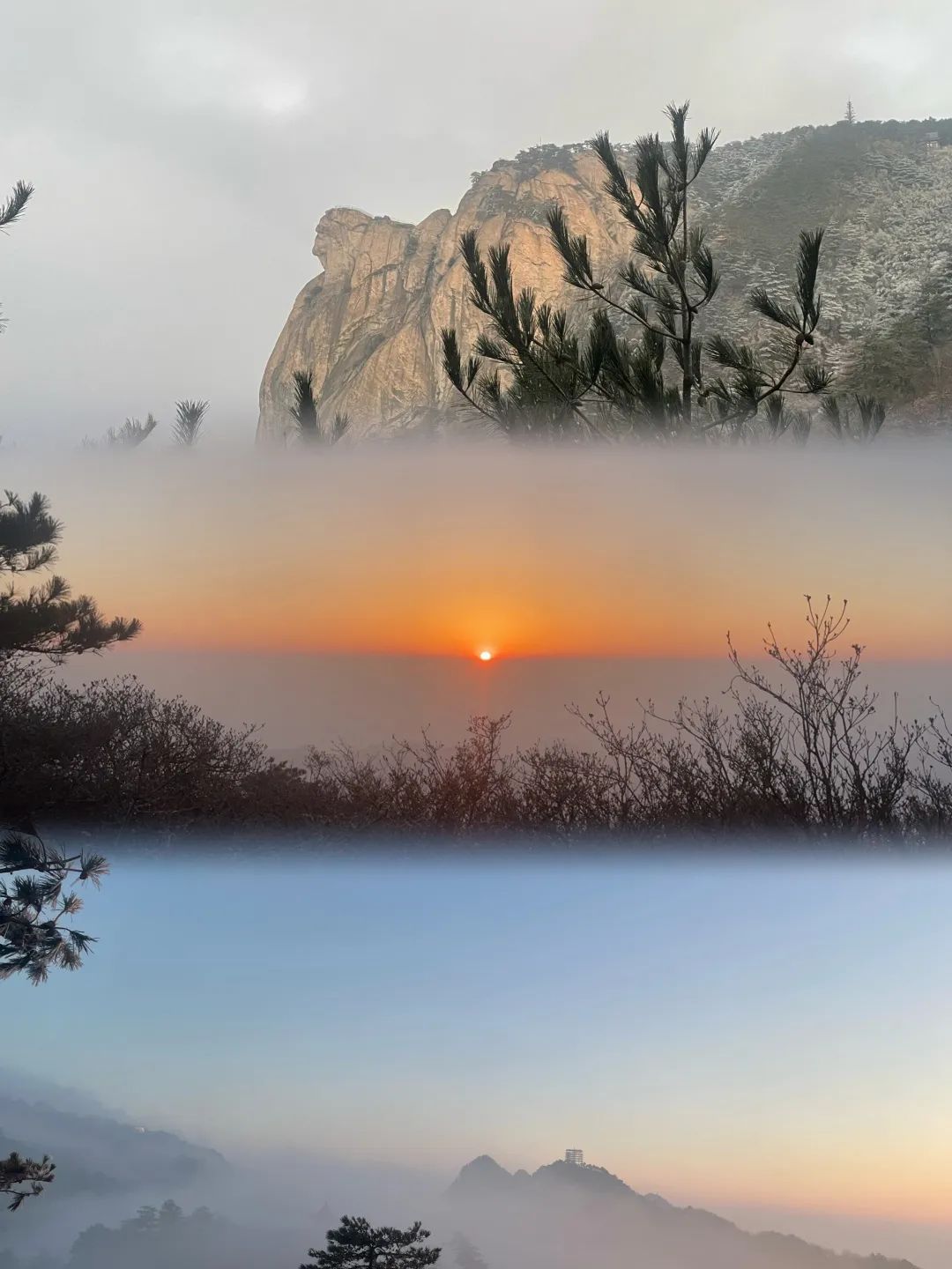 1689672116429111.jpg 2.jpg