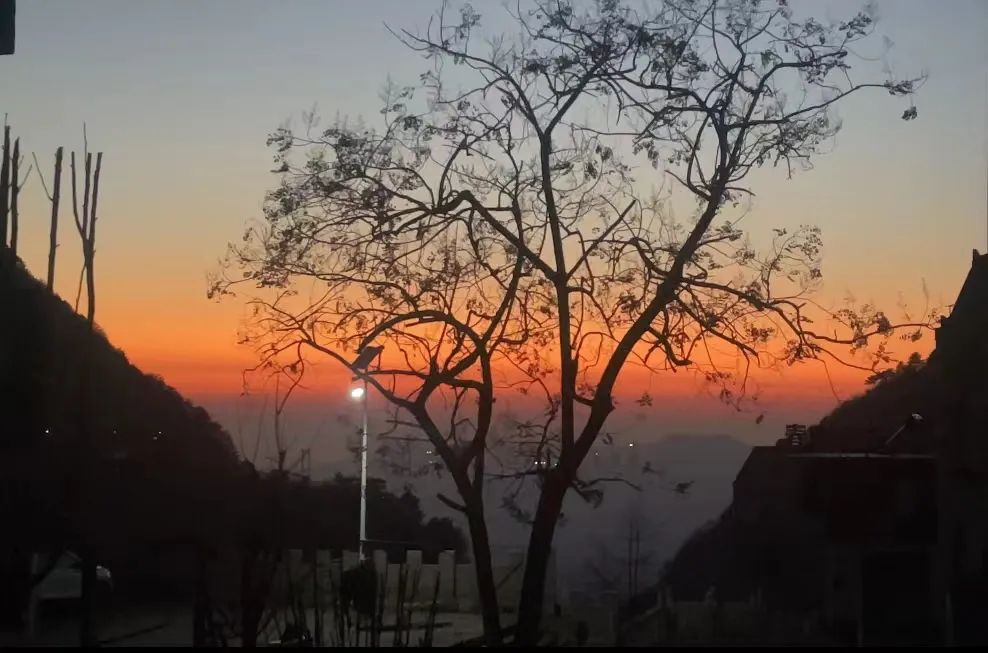 1689672121461659.jpg 3.jpg