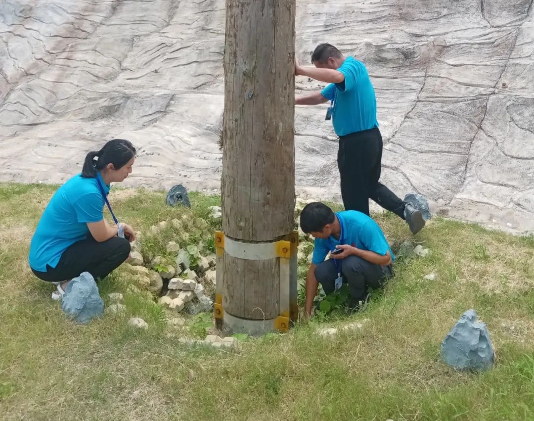 1691735902209454.jpg 2.jpg