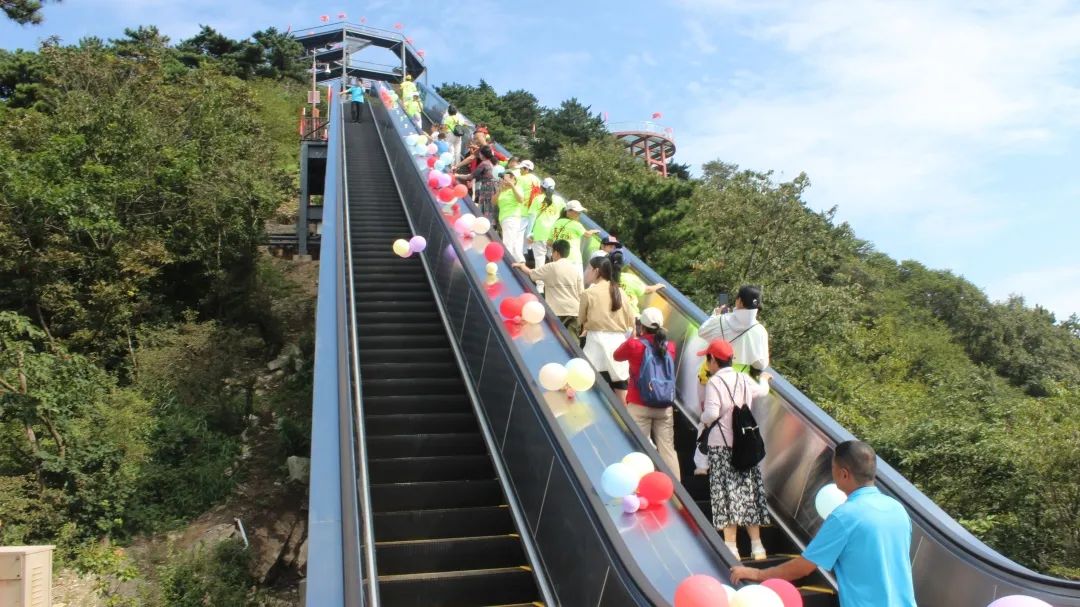 1692357003584794.jpg 12.jpg