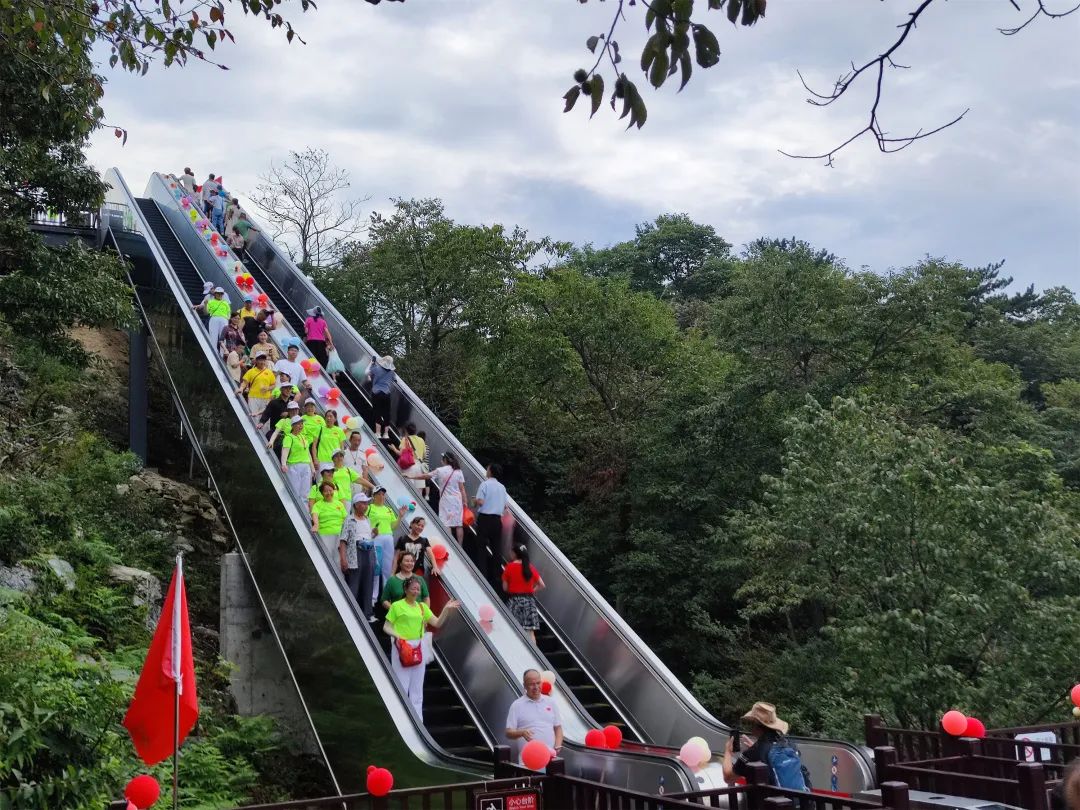 1692357028549192.jpg 16.jpg