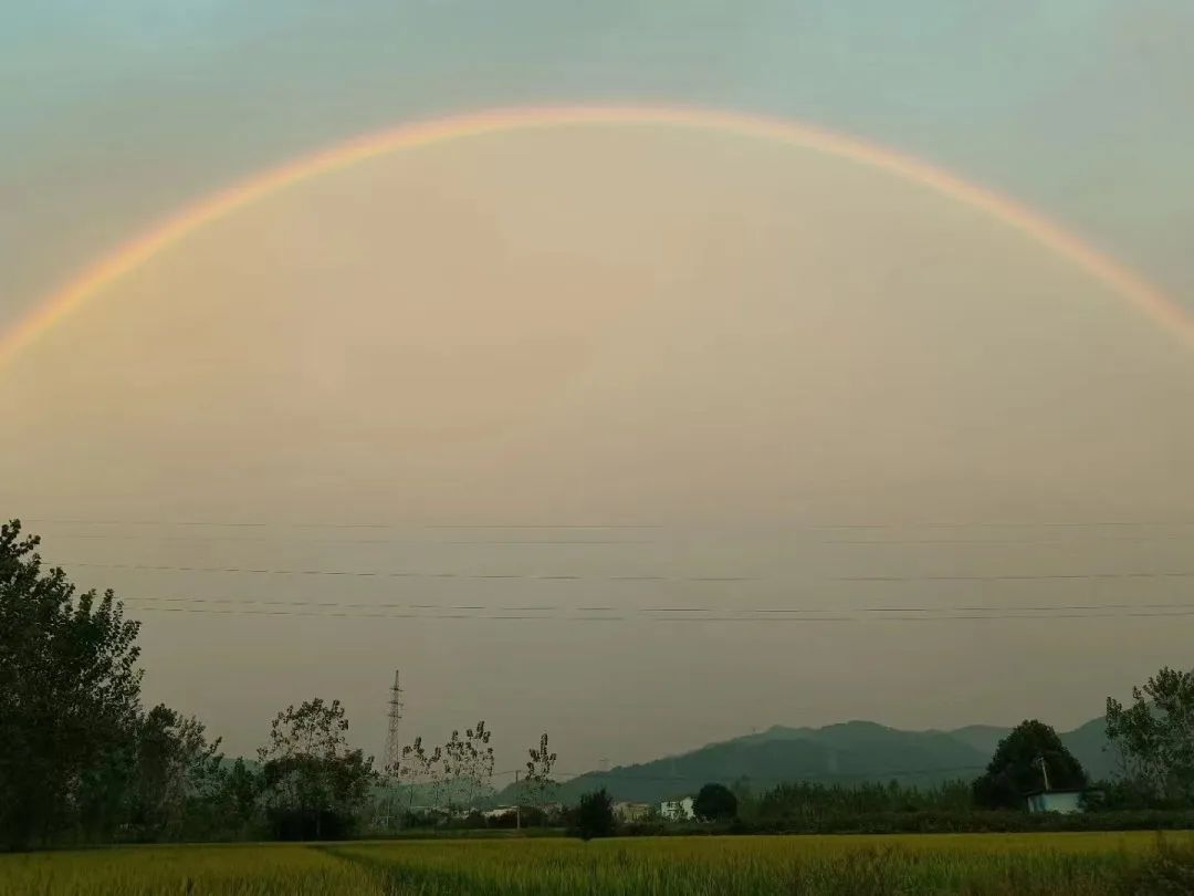 1693964034732826.jpg 1.jpg