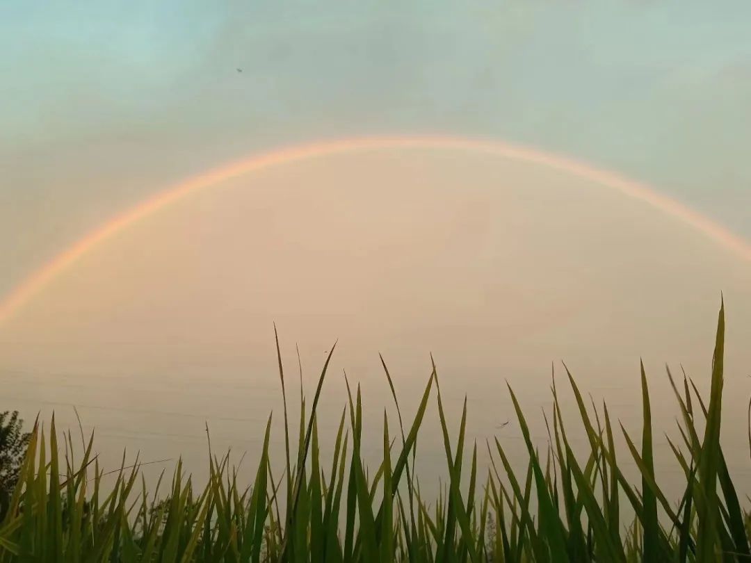 1693964039974479.jpg 2.jpg