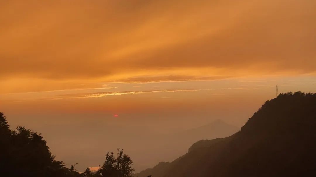 1693964044529926.jpg 3.jpg