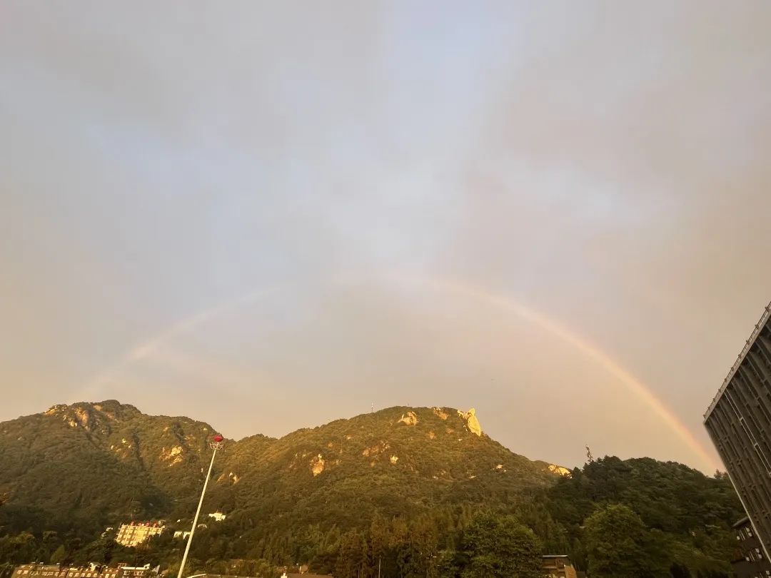 1693964054556347.jpg 5.jpg