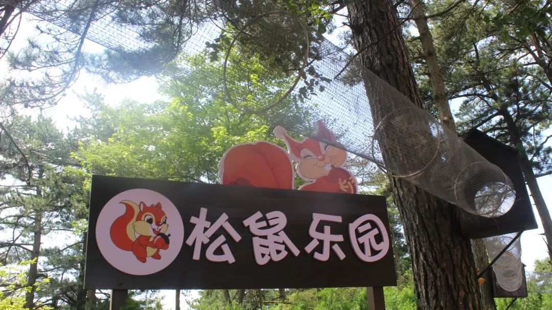 1693992472369680.jpg 5.jpg