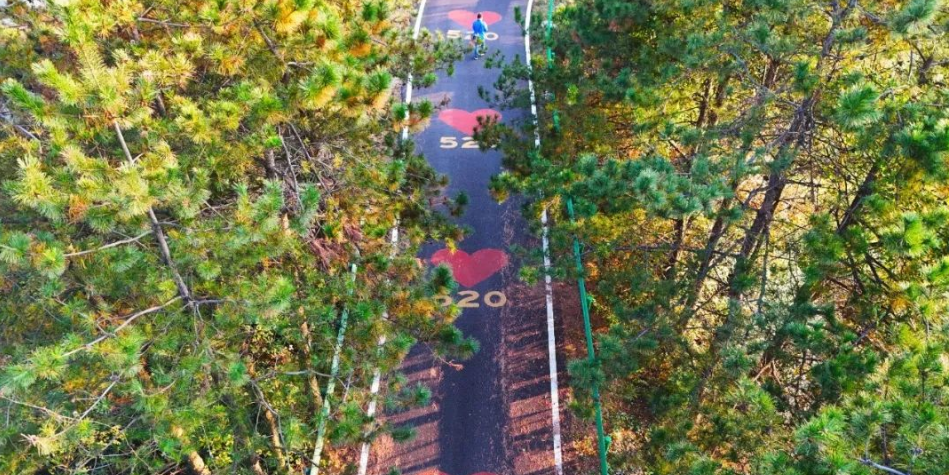 1731489653549348.png image.png