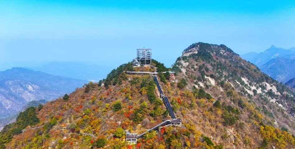 1731489666533781.png image.png