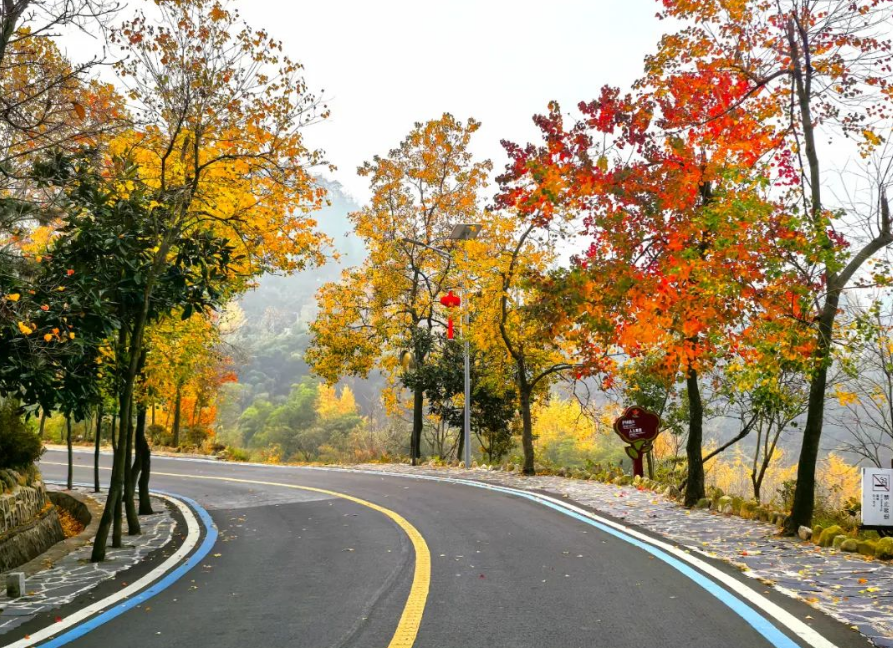 1731913750656043.png image.png